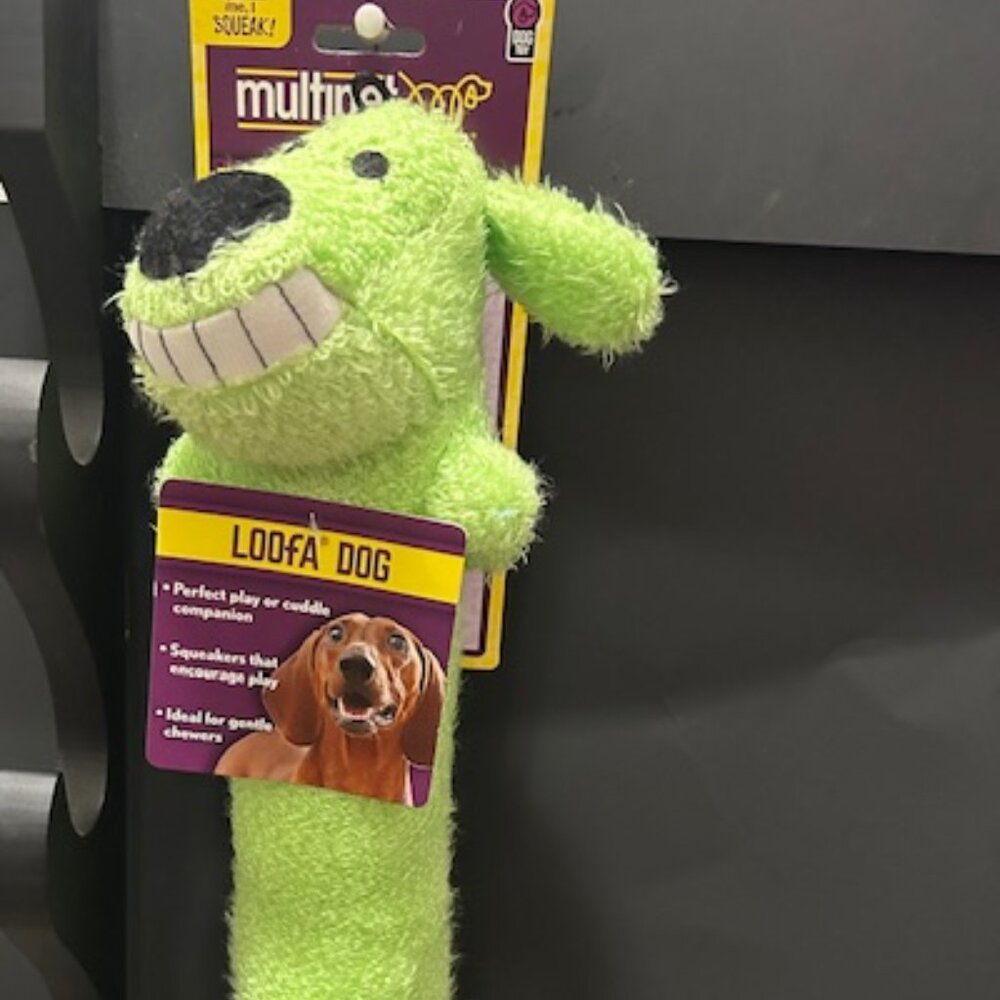 Multipet (Neon Green) Loofa Dog Toy